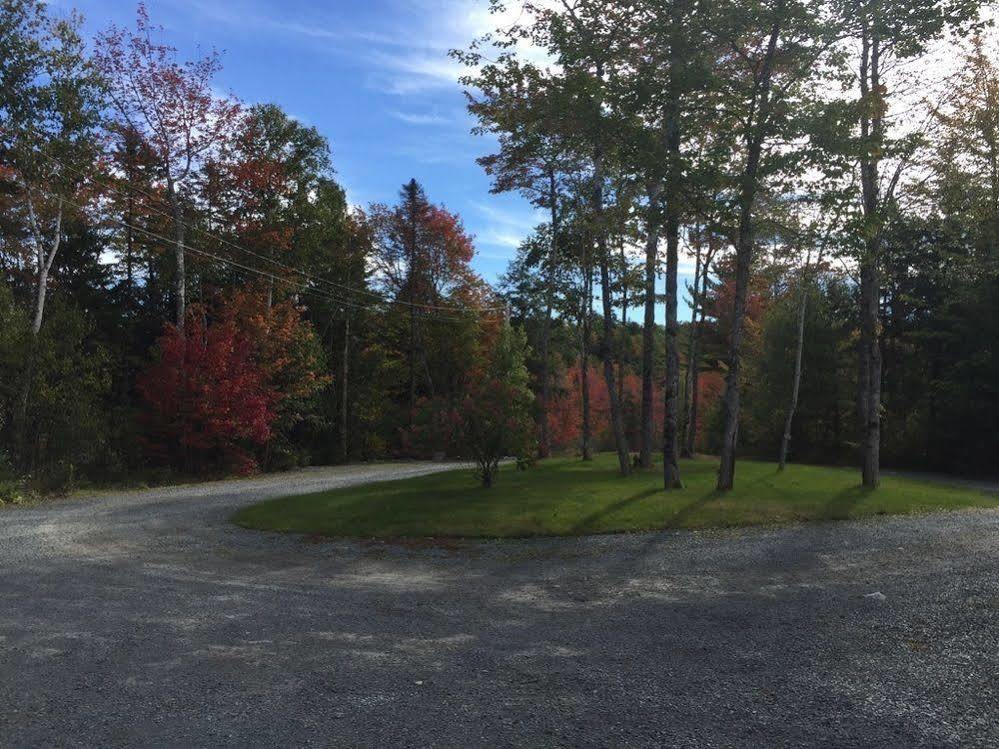Snowflake Manor Bed & Breakfast Oakfield Extérieur photo