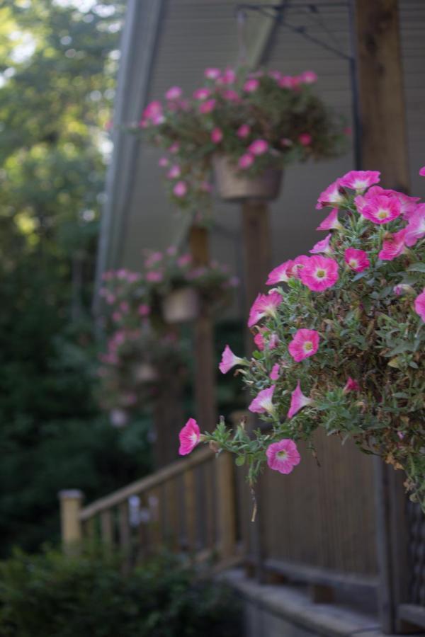 Snowflake Manor Bed & Breakfast Oakfield Extérieur photo